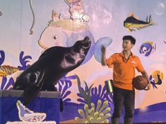 -太平洋海底世界