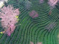 -无量山自然风景保护区