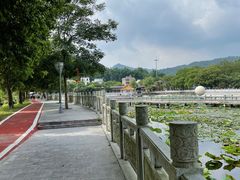 -红山村