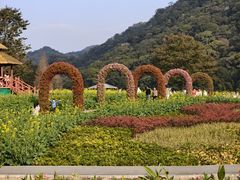 -广州市石门国家森林公园