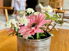 -浅深Cheersum(曹杨店)