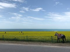 -青海湖国家重点风景名胜区