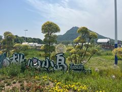 -桃花岛景观公园