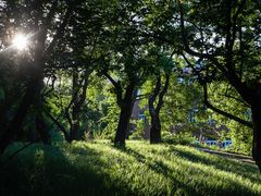 -国家植物园南园