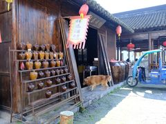 -东山风景区(洞庭东山)