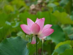-贵阳市花溪国家城市湿地公园