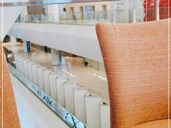 -国际青年会议酒店