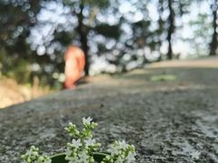 -宁波市保国寺古建筑博物馆