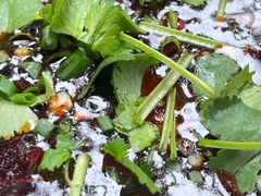 -汝萍传统蘸水菜(春华路总店)