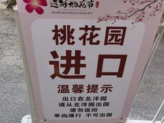 -桃花堤公园