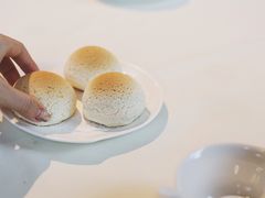 雪顶雄峰-利苑酒家(金宝店)