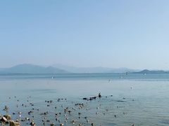 -深圳湾公园(南山区)
