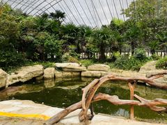 -上海野生动物园