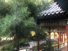 -晋祠公园