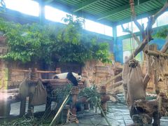 -泉州海丝野生动物世界