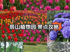 -上海辰山植物园