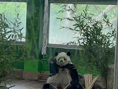 -广州动物园
