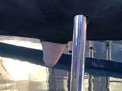 -上海海洋大学鱼文化博物馆(军工路校区)
