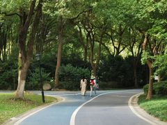 -新洲生态园