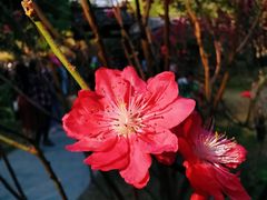 -广州市白云山风景名胜区