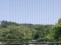 -点都德(广州白云山景区南门店)