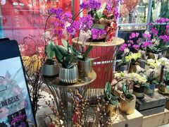 -格蕾花坊(民盈·国贸城店)