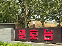 -大望京公园