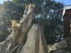 -宝岩生态观光园