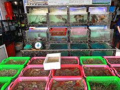 -众味海鲜大排档·活海鲜·潮汕味(南澳店)