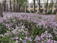 -将府公园