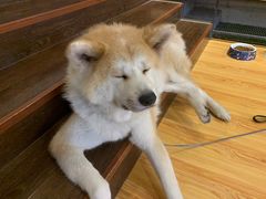 -YCHL Studios健身工作室(市二宫店)