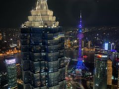 -上海柏悦酒店