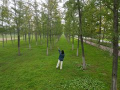 -汉长安城未央宫国家考古遗址公园