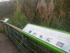 -西湖风景区-江洋畈生态公园