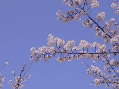 -静安雕塑公园