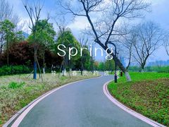 -洋湖国家湿地公园