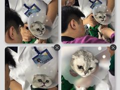 -达爱动物医院·犬猫分区·CT·复杂眼科(远洋山水分院)