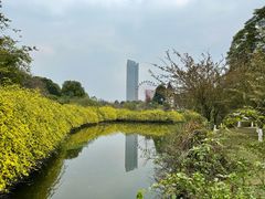 -成都南湖公园