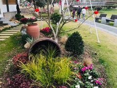 -东钱湖旅游度假区