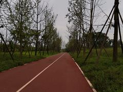 -白鹭湾湿地公园