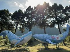 -东南花都花博园