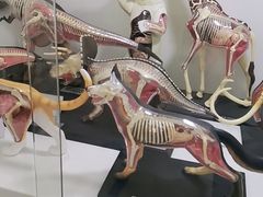 -斯坦星球青少儿编程机器人科学思维专注力科创竞赛规划(兰岛学习中心)