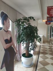 -昆明梦想医疗美容医院