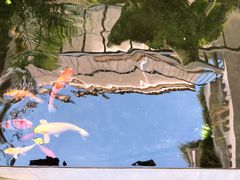 -漫笙舍Manse·咖啡·民宿