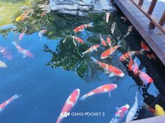 -顺德渔村·岭南一号