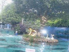 -天怡·鱼工厂(临江店)