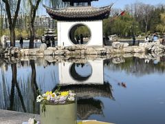 -5Cake五度无蔗糖低脂蛋糕(陶然亭店)