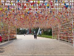 -七彩云南欢乐世界