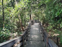 -水濂山森林公园