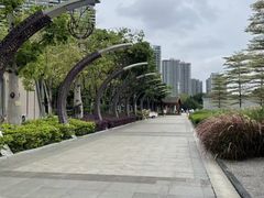 -映月湖公园